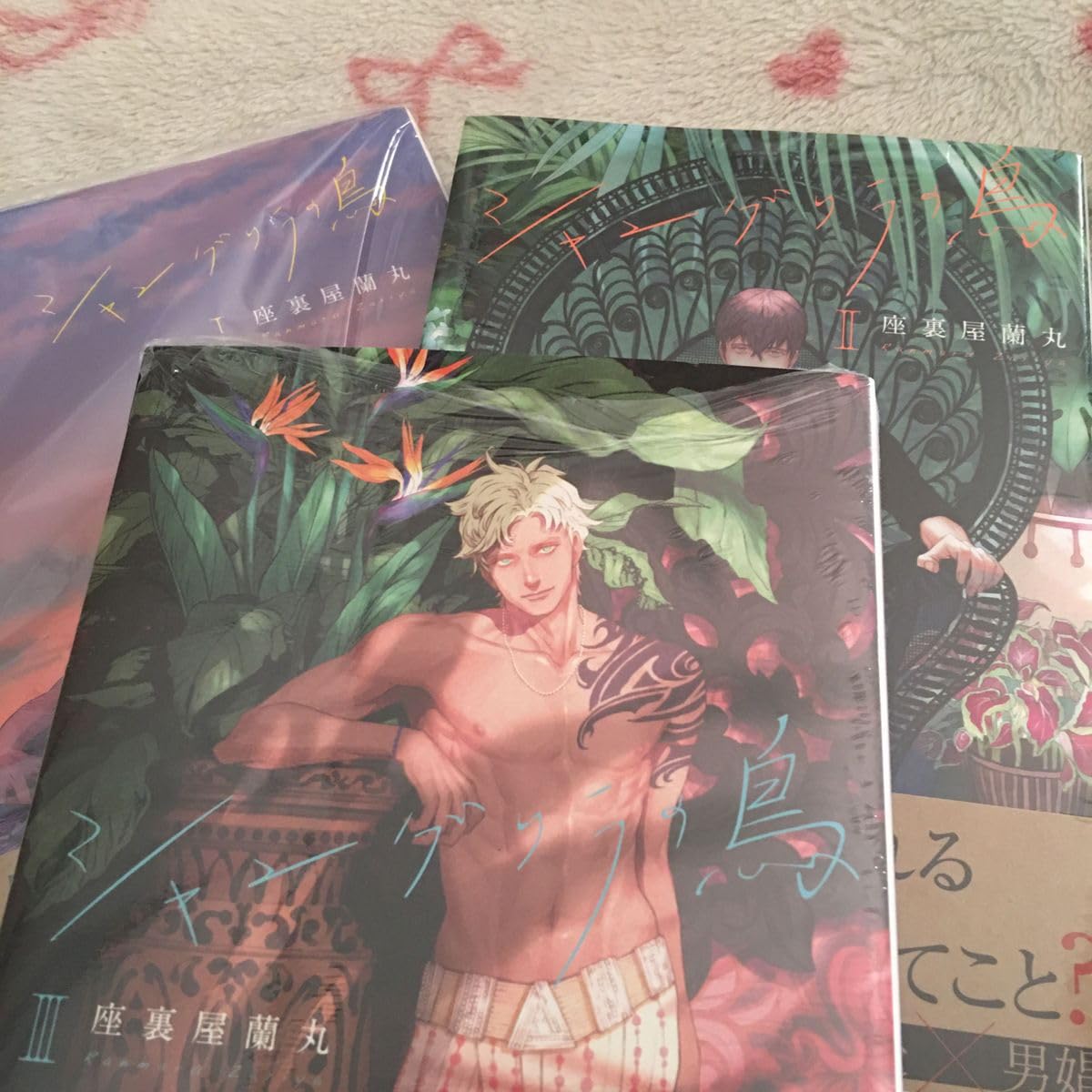 座裏屋蘭丸　シャングリラの鳥 シャングリラの鳥III (Canna Comics) | 座裏屋 蘭丸 |本 | 通販